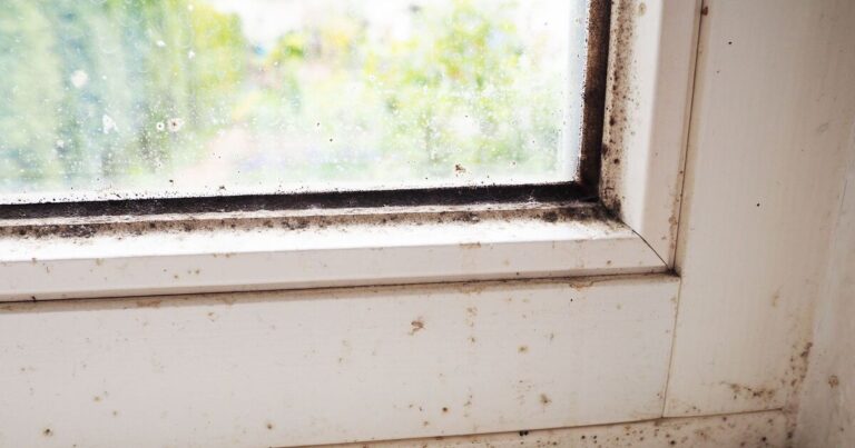 How to remove mould from silicone sealants for good without bleach