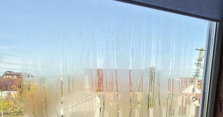 How to stop condensation and damp in winter — 6 experts said same thing