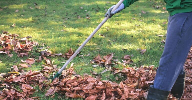 Gardeners warned ‘now is the time’ to get three important jobs done