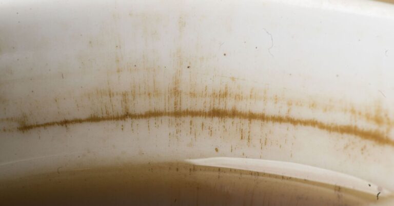 Nan’s ‘old trick’ banishes mug stains in 10 minutes—no chemicals needed