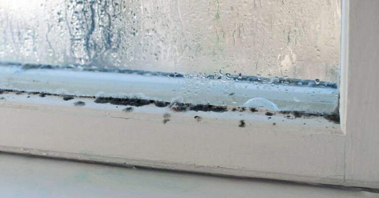 Window condensation disappears with 1 item that ‘absorbs moisture’
