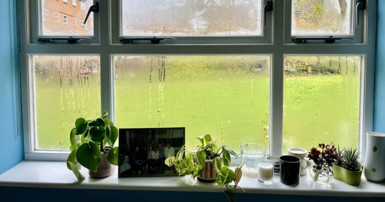 I tested 2 popular condensation hacks on my windows — one failed