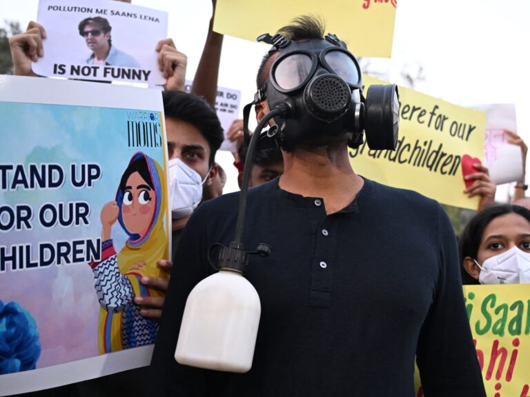 Protesters call for action as pollution suffocates New Delhi | Environment News