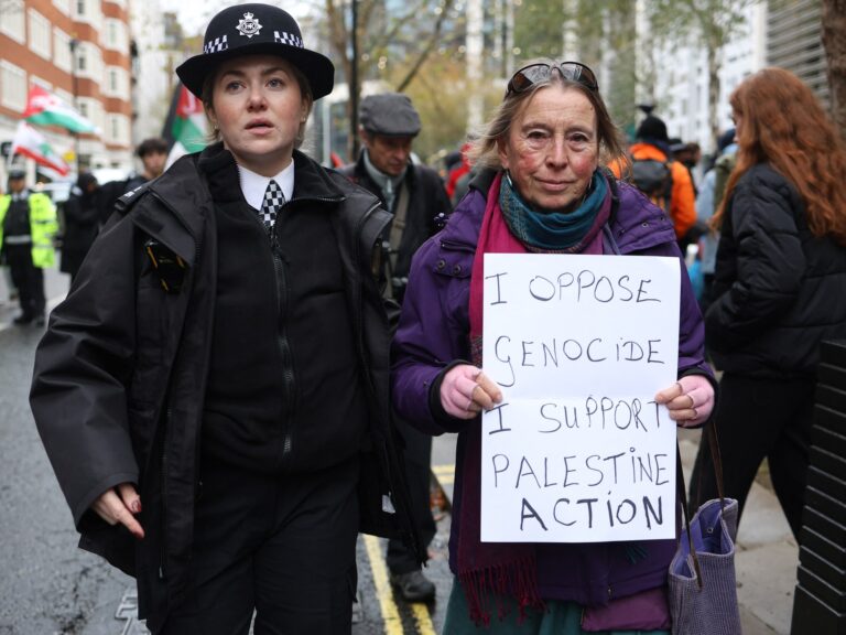 Palestine Action cofounder to challenge group’s proscription in UK court | Gaza News