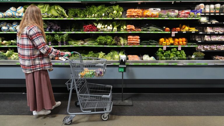 SNAP food aid benefits might take time to reload even after the shutdown ends
