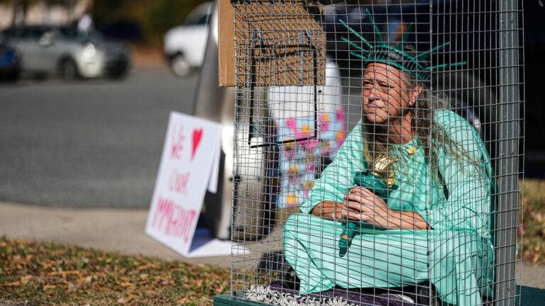 More than 130 arrested in North Carolina immigration crackdown