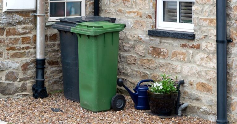 Households urged to put brick on top of bin in December