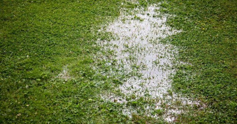 Gardens will be weather resistant if you follow expert’s 3 rules