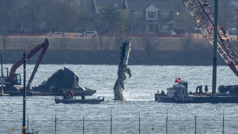 US government admits negligence in helicopter-plane collision that killed 67 near DC